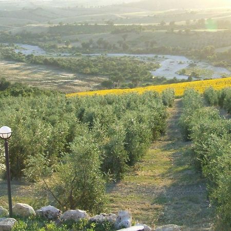 Bio Agriturismo Il Torrione Saturnia Zewnętrze zdjęcie