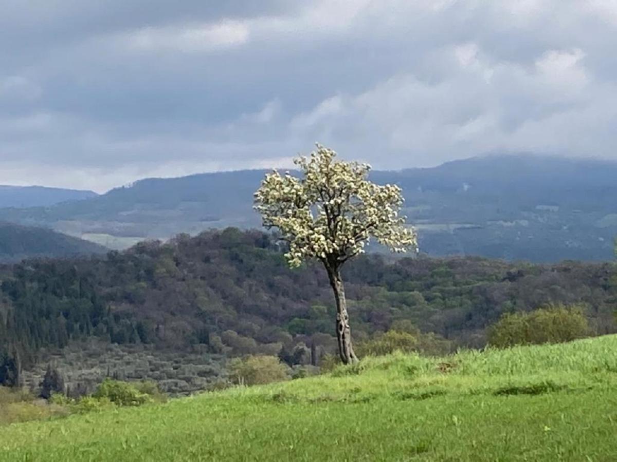 Bio Agriturismo Il Torrione Saturnia Zewnętrze zdjęcie
