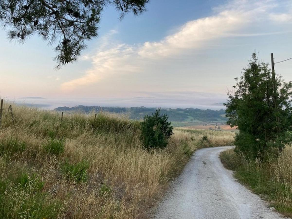 Bio Agriturismo Il Torrione Saturnia Zewnętrze zdjęcie