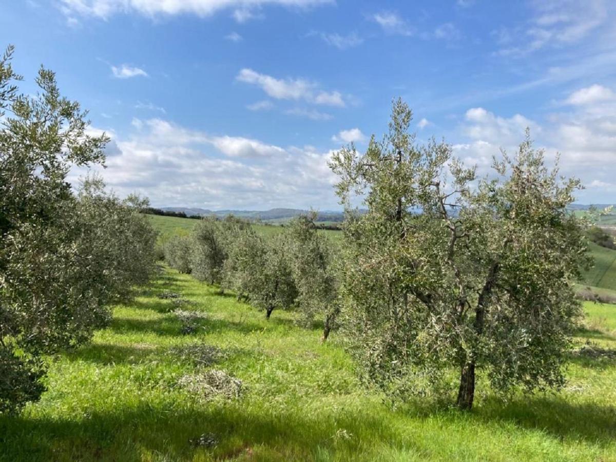 Bio Agriturismo Il Torrione Saturnia Zewnętrze zdjęcie