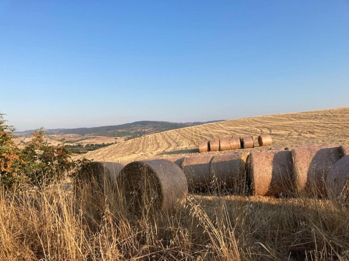 Bio Agriturismo Il Torrione Saturnia Zewnętrze zdjęcie