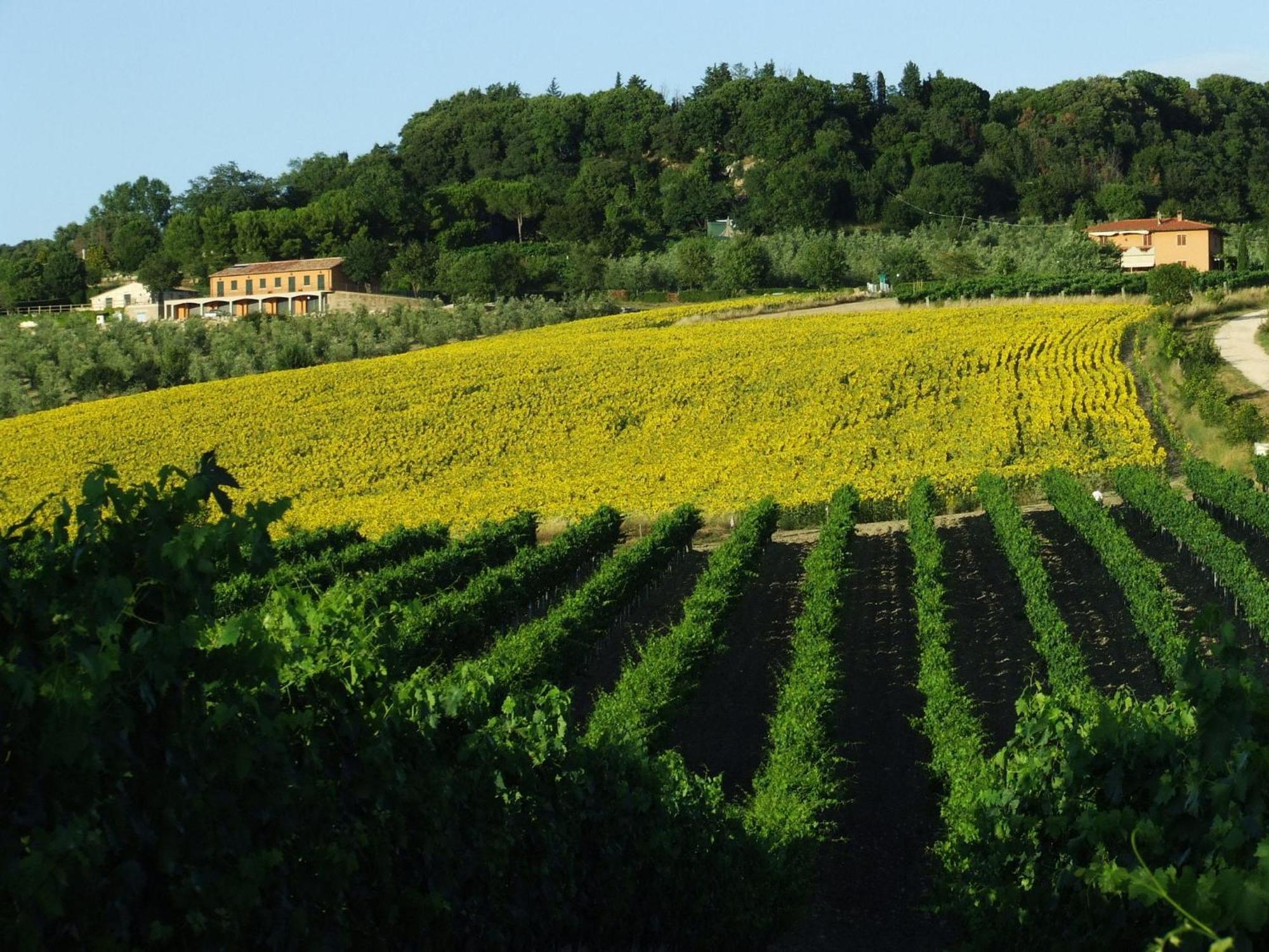 Bio Agriturismo Il Torrione Saturnia Zewnętrze zdjęcie