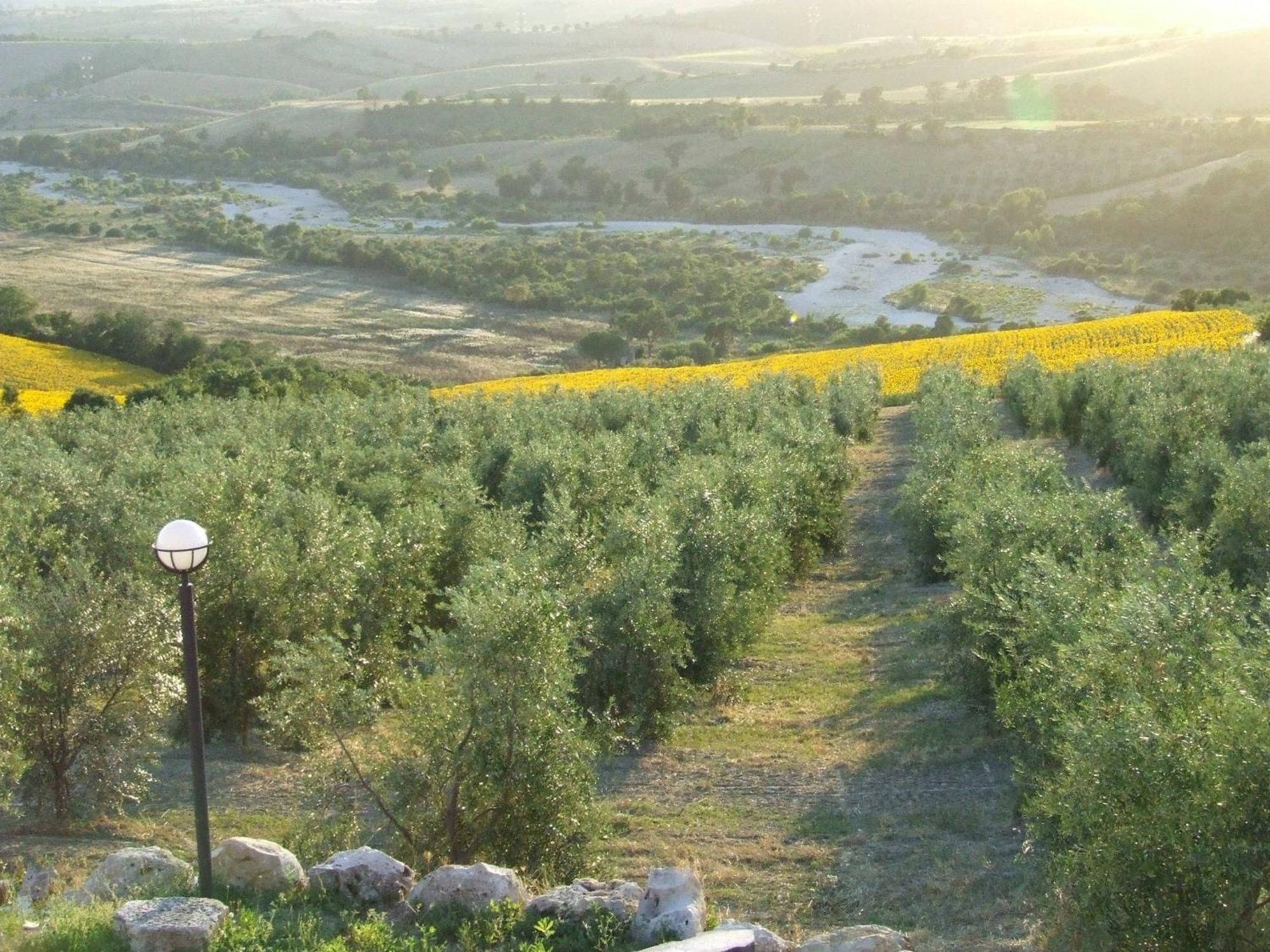 Bio Agriturismo Il Torrione Saturnia Zewnętrze zdjęcie