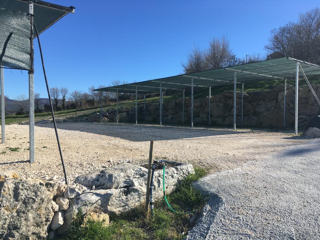 Bio Agriturismo Il Torrione Saturnia Zewnętrze zdjęcie
